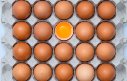 Consumo de ovos por habitante cresce quase 9%