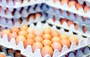 Brasileiro consome 2 ovos a cada 3 dias