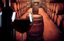 Segmento de vinhos prevê mais lançamentos em 2022