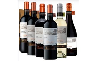 Com portfólio completo de vinhos chilenos, Ventisquero atrai clientes, apresenta giro rápido e boas margens