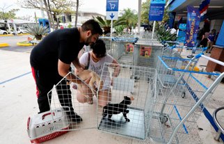 Supermercados do Rio de Janeiro são os primeiros a liberarem a entrada de pets